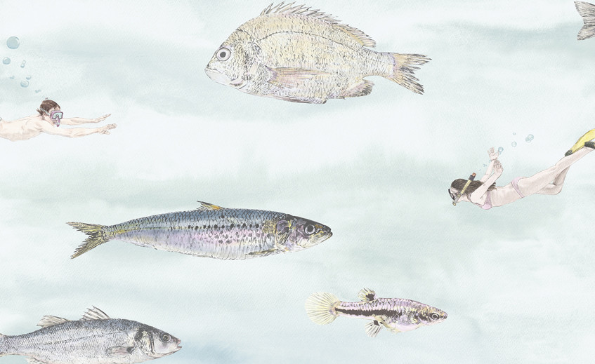 Carta da Parati Bellissimo acquario semicircolare con pesci tropicali su  uno sfondo bianco 