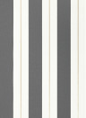 Osborne & Little Papier peint Bramante Stripe - Charcoal