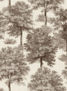 Coordonne Wallpaper Chestnut Tree - Clay