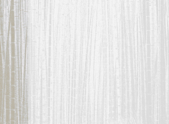 Jannelli & Volpi Wandbild Arashiyama - Neutral Panel 1