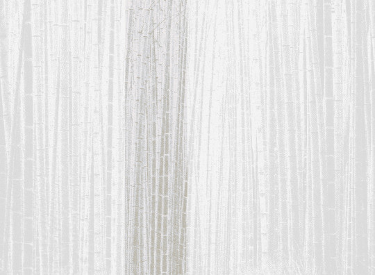 Jannelli & Volpi Wandbild Arashiyama - Neutral Panel 3