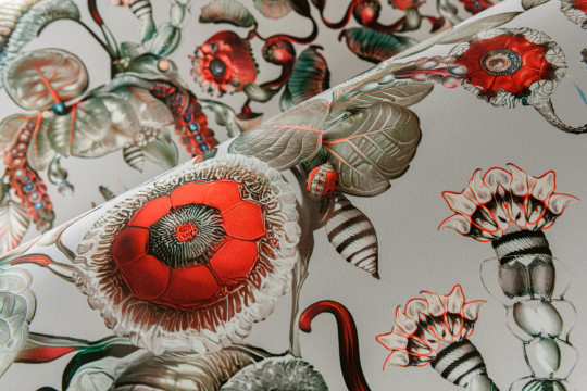 Moooi for Arte Papier peint Coccinella Bella