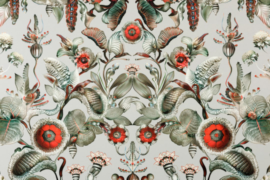 Moooi for Arte Wallpaper Coccinella Bella - Stone Grey