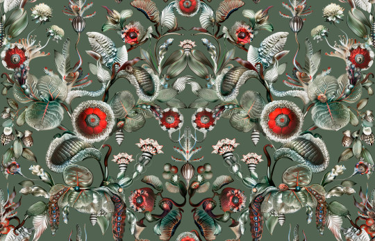 Moooi for Arte Wallpaper Coccinella Bella - Sage Green