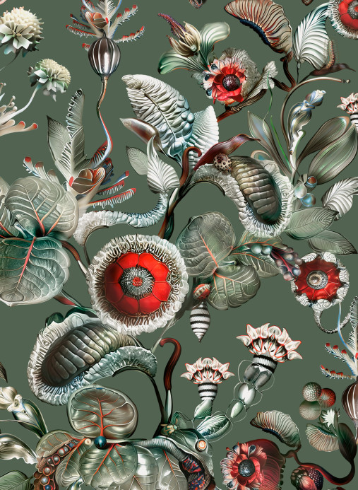 Moooi for Arte Carta da parati Coccinella Bella - Sage Green