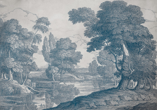 Coordonne Papier peint panoramique Engraving