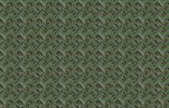 Coordonne Papier peint Hexagonal - Emerald