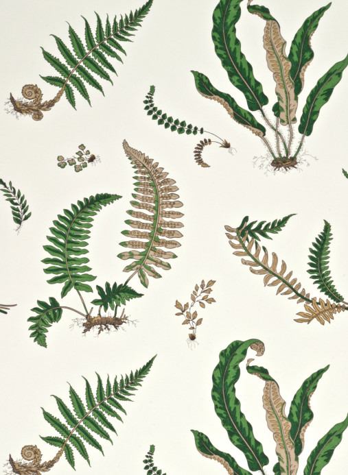 GP & J Baker Tapete Ferns - Original Green