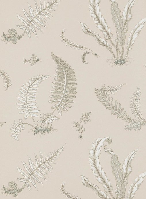 GP & J Baker Carta da parati Ferns - Linen