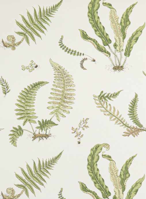 GP & J Baker Carta da parati Ferns - Leaf