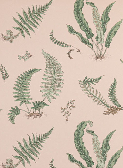 GP & J Baker Papier peint Ferns - Blush