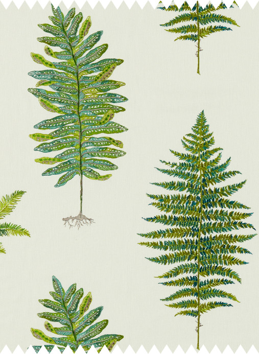 Sanderson Stoff Fernery Embroidery - Botanical Green