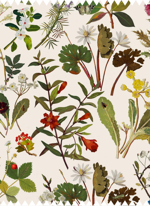 House of Hackney Tissu Herbarium - Cotton Linen - Ecru