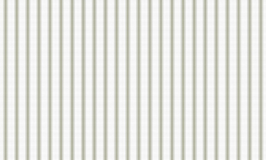 Coordonne Papier peint Stripe 5 - Matcha