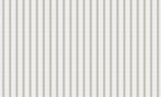 Coordonne Papier peint Stripe 5 - Yeso