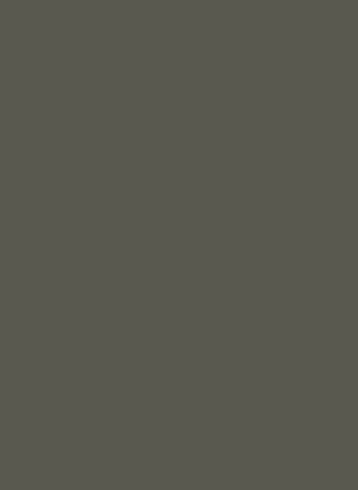 Farrow & Ball Dead Flat - Reduced Green 313 - 0,75l