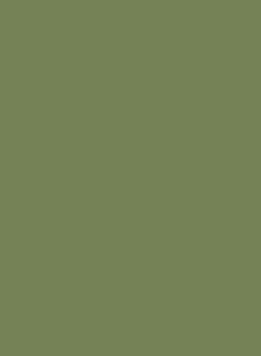 Farrow & Ball Exterior Eggshell - Sap Green 199 - 0,75l