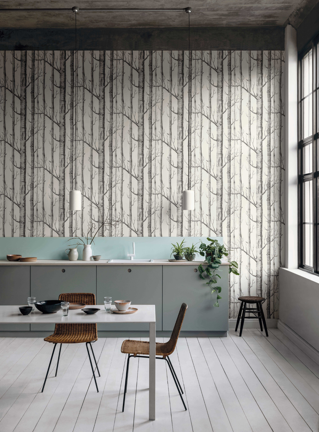 Cole  Son New Contemporary  Woods Wallpaper  5 Colours Available   Rockett St George